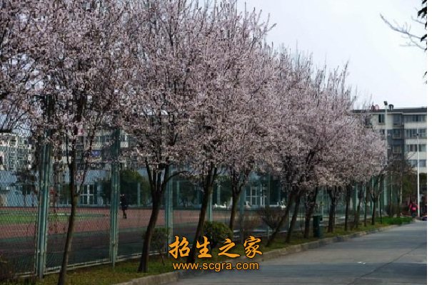 成都师范大学继续教育学院