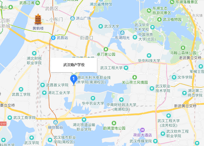 武汉助产学校地址在哪里