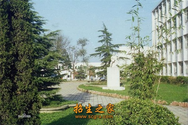 学校环境